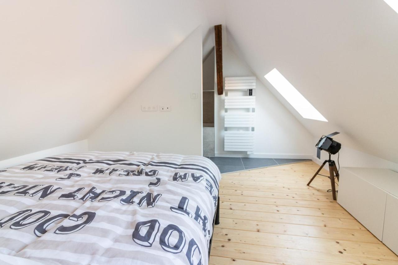 Magnifique Appartement Duplex Climatise De 40M² Nancy Exteriör bild